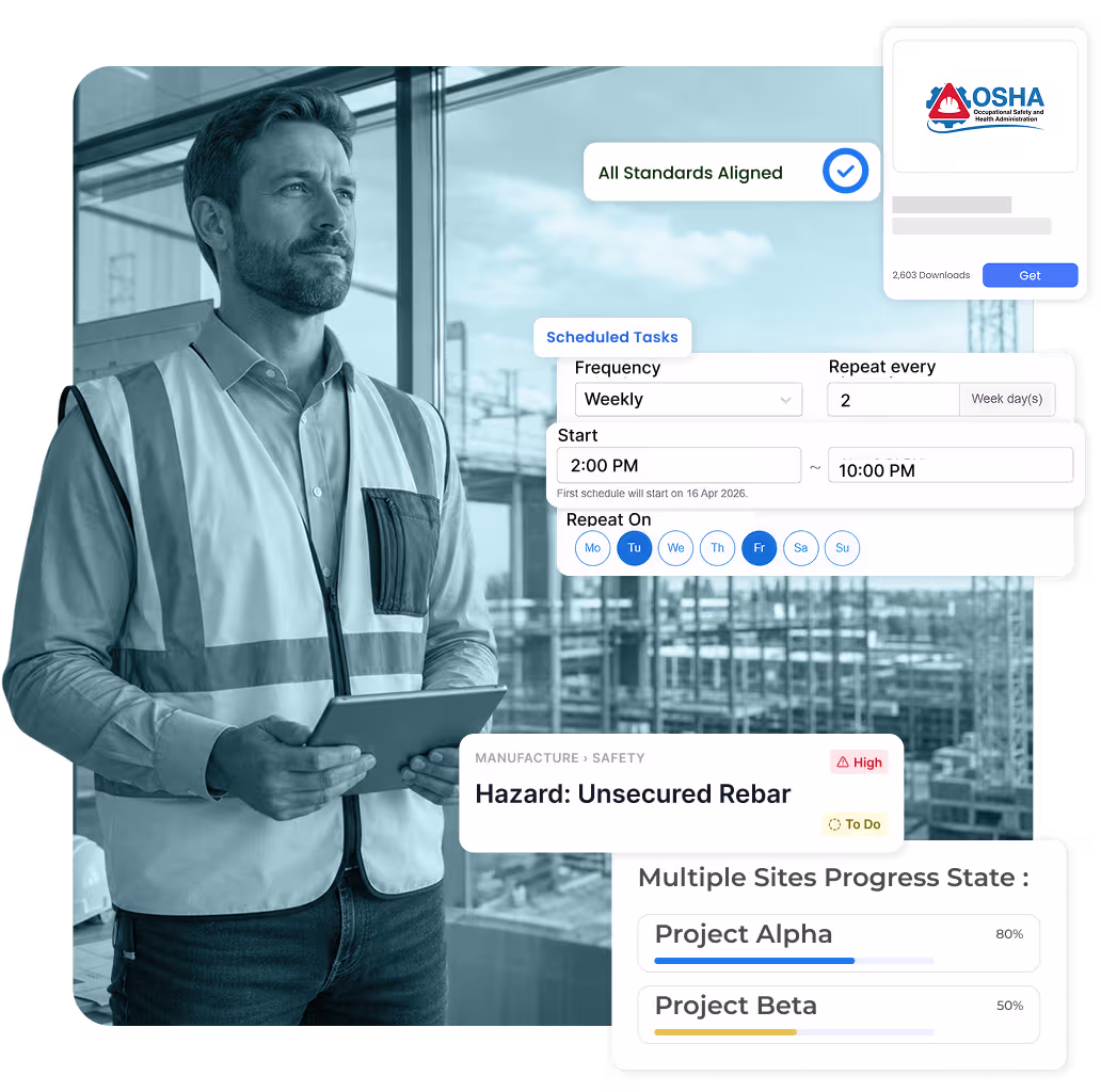 Audit planning and inspection