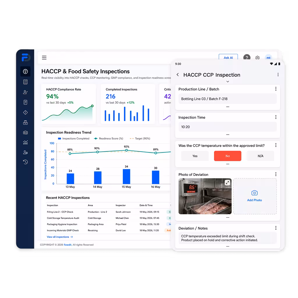 Audit planning and inspection