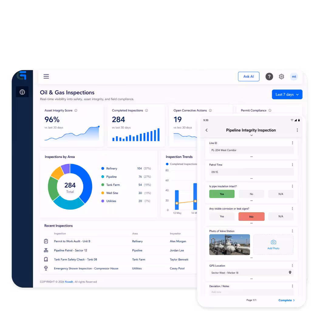 Audit planning and inspection